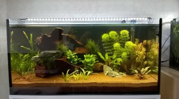 120 litres