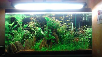 Osaka 320 litres