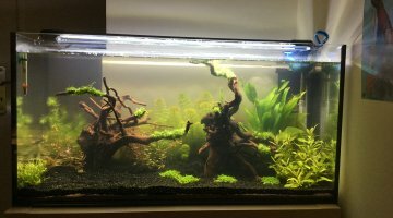 110 litres