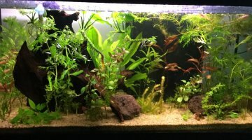 90 litres