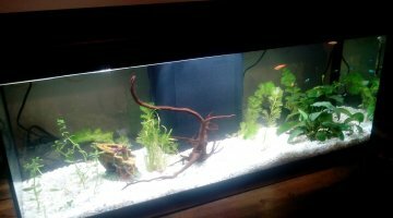 115 L aquadream