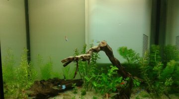 90 litres et bien peuplé