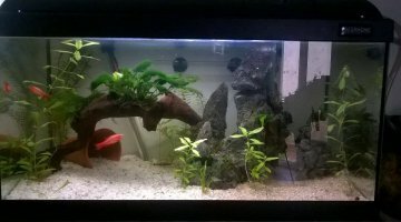 70L Roche et Racine