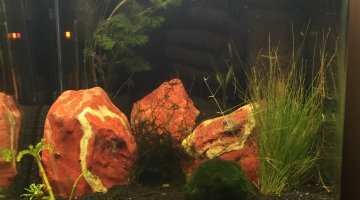 Nano 20L