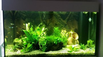 JUWEL RIO 180L