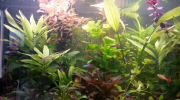 150 L Asie