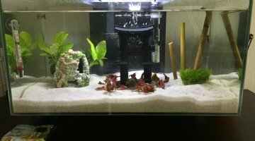 Fluval Edge 23 litres
