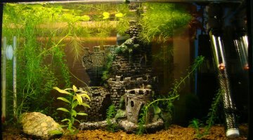 20L Bac à Panda