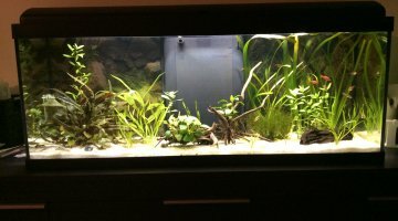 120 litres Asiatique
