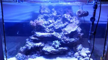 140L panoramique