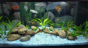 juwel rekord 110L