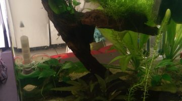 cube 60l