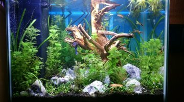 Nano 40l