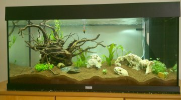 rio 180l