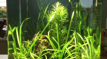 Nano 35 litres