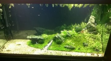 Osaka 320 - First Scape