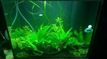 Premier Aquarium 120L
