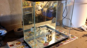 Bahia nano