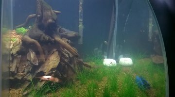 Nano 25L