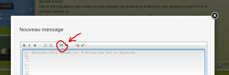 Insérer une photo sur le forum