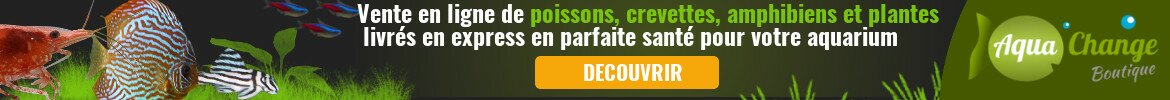 Achat en ligne de poissons, plantes et crevettes d'aquarium