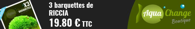 vente en ligne de Riccia