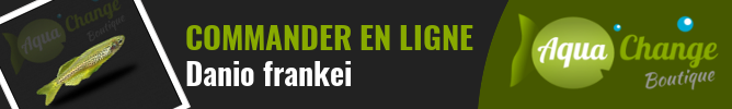 Vente en ligne de danio frankei