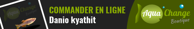 Vente en ligne de Danio kyathit
