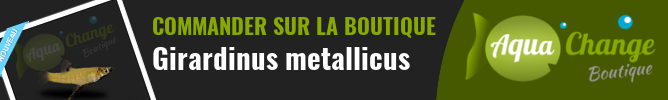 Vente en ligne de Girardinus metallicus