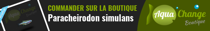 vente en ligne de Paracheirodon simulans