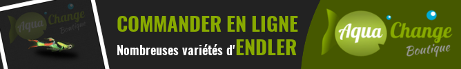 Vente en ligne de plusieurs variétés d'Endler