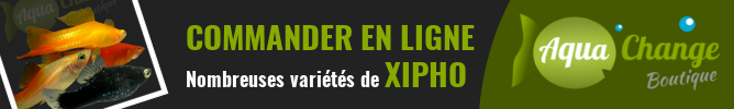 Vente en ligne de variétés de Xipho