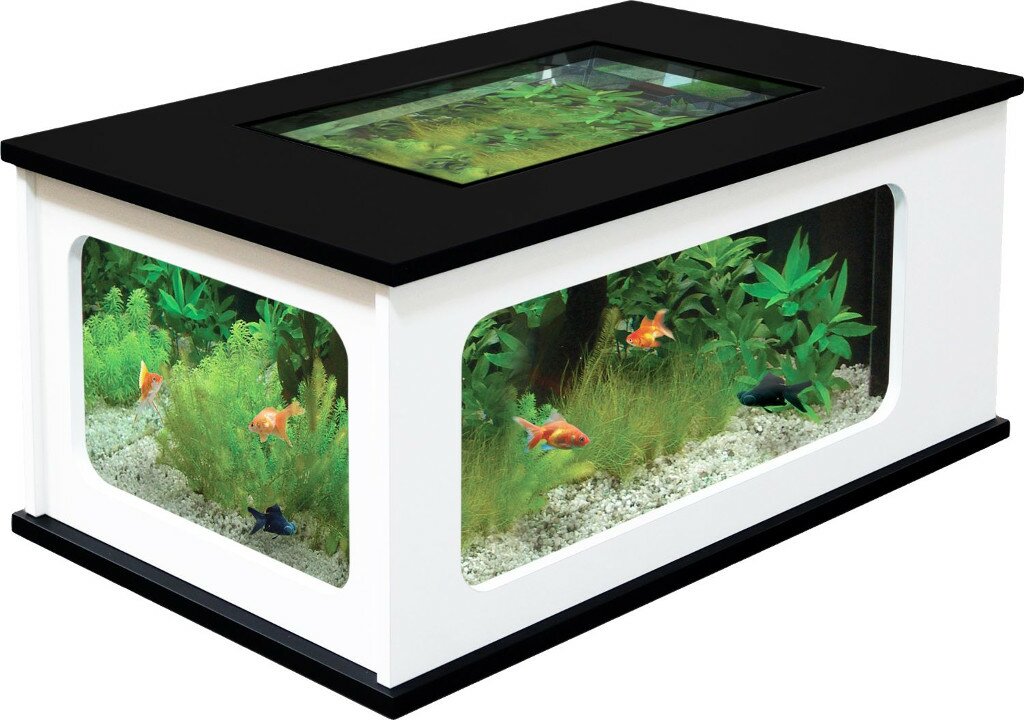 aquarium table basse design