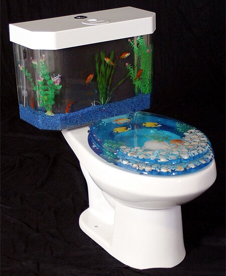 aquarium toilette